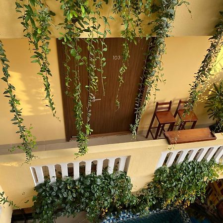 The View Homestay Hoi An Exterior foto