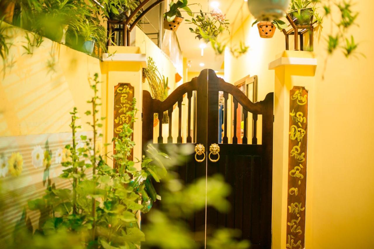 The View Homestay Hoi An Exterior foto