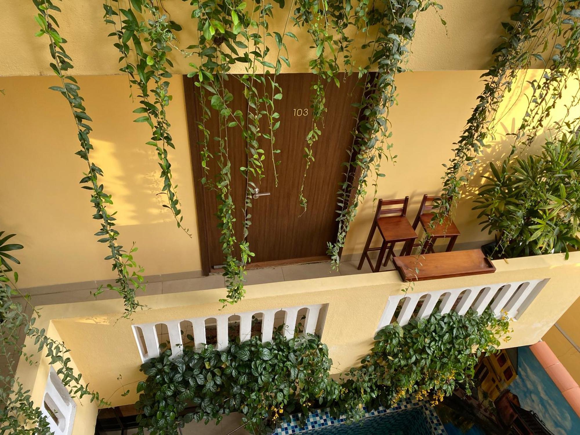 The View Homestay Hoi An Exterior foto